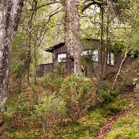 Macdonald Lochanhully Resort キャルブリッジ エクステリア 写真